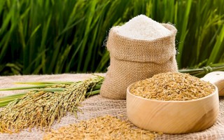 Giá lúa gạo hôm nay ngày 29/11: Cuối tuần, tiêu thụ lúa gạo kém sôi động